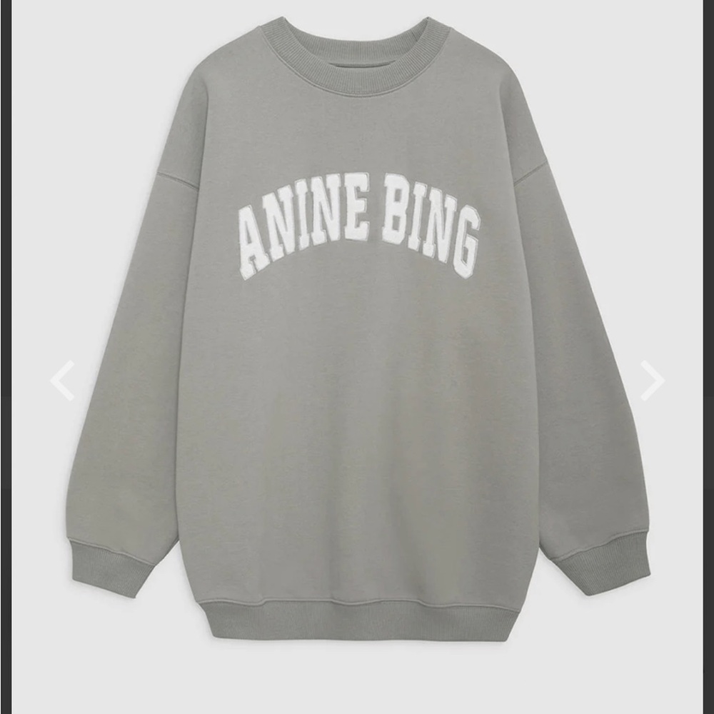 Sold Anine Bing Tyler Sweatshirt in Storm Grey